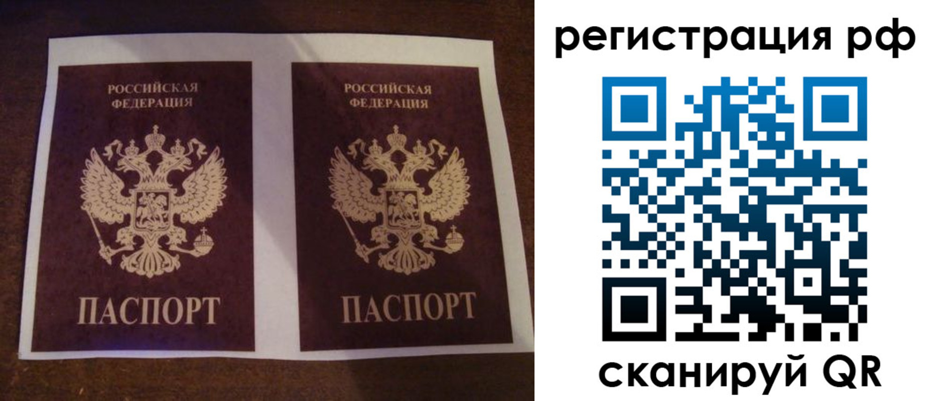временная регистрация гарантия в Лесном